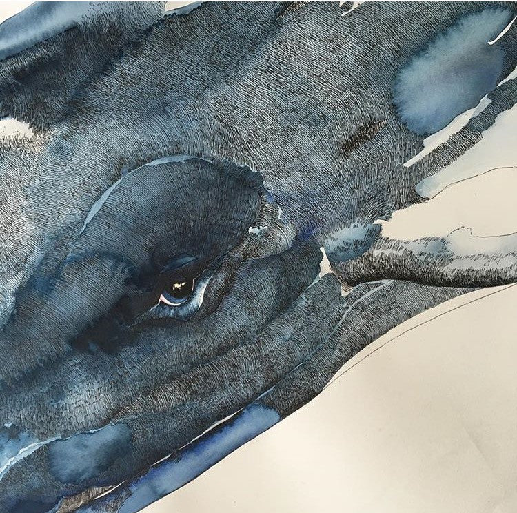 Ultramarine
