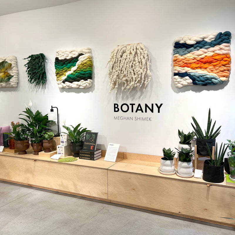 Botany by Meghan Shimek