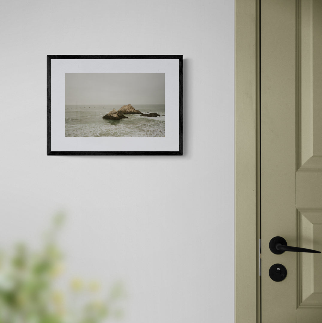 Seal Rocks, Lands End Print by Ariel Berk