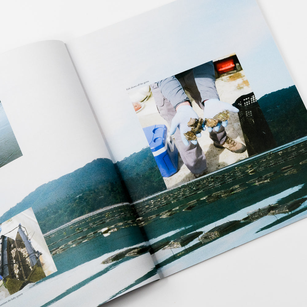 Fog - Issue 1